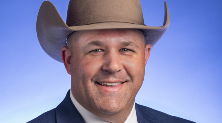 Holt