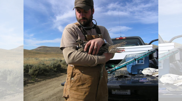 Greater Sage-Grouse Habitat